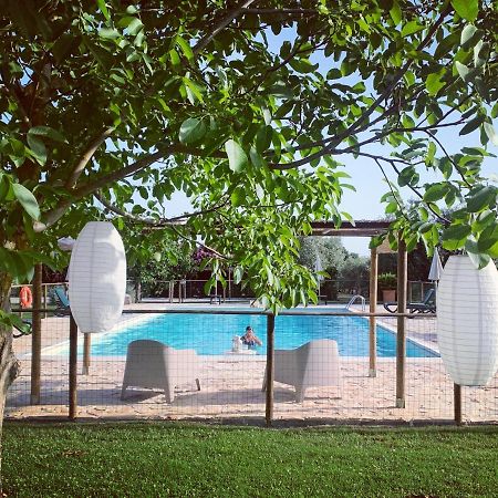 Agriturismo Il Puntoncino Марсилиана Екстериор снимка