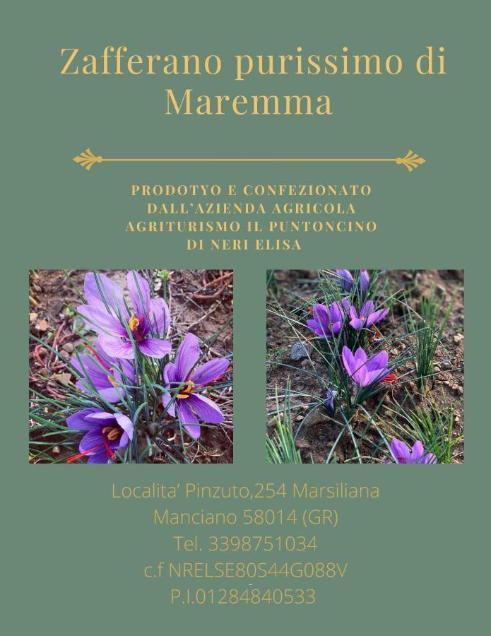 Agriturismo Il Puntoncino Марсилиана Екстериор снимка