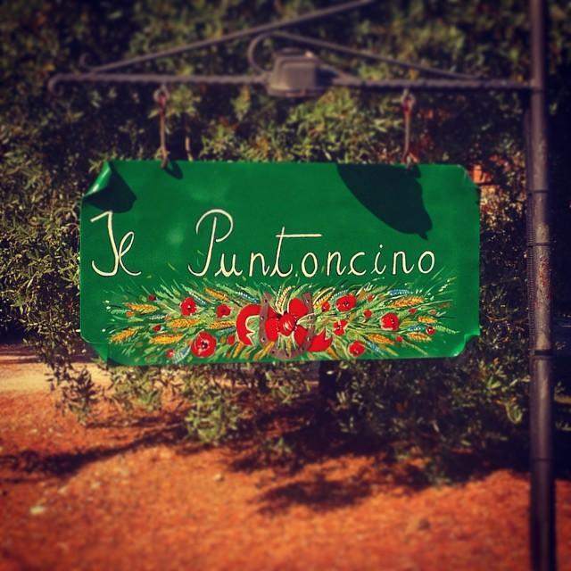 Agriturismo Il Puntoncino Марсилиана Екстериор снимка