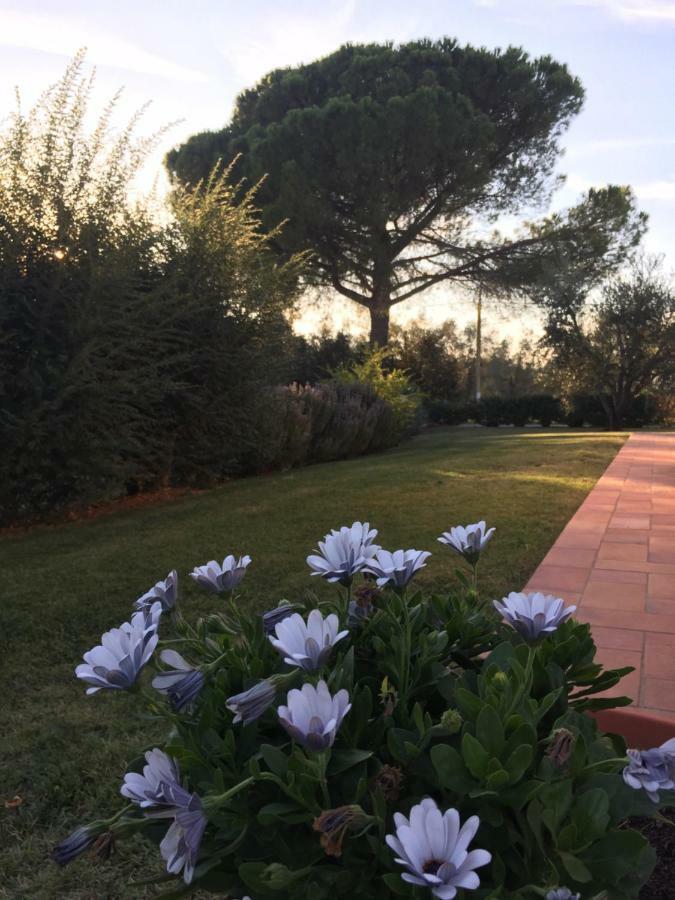 Agriturismo Il Puntoncino Марсилиана Екстериор снимка