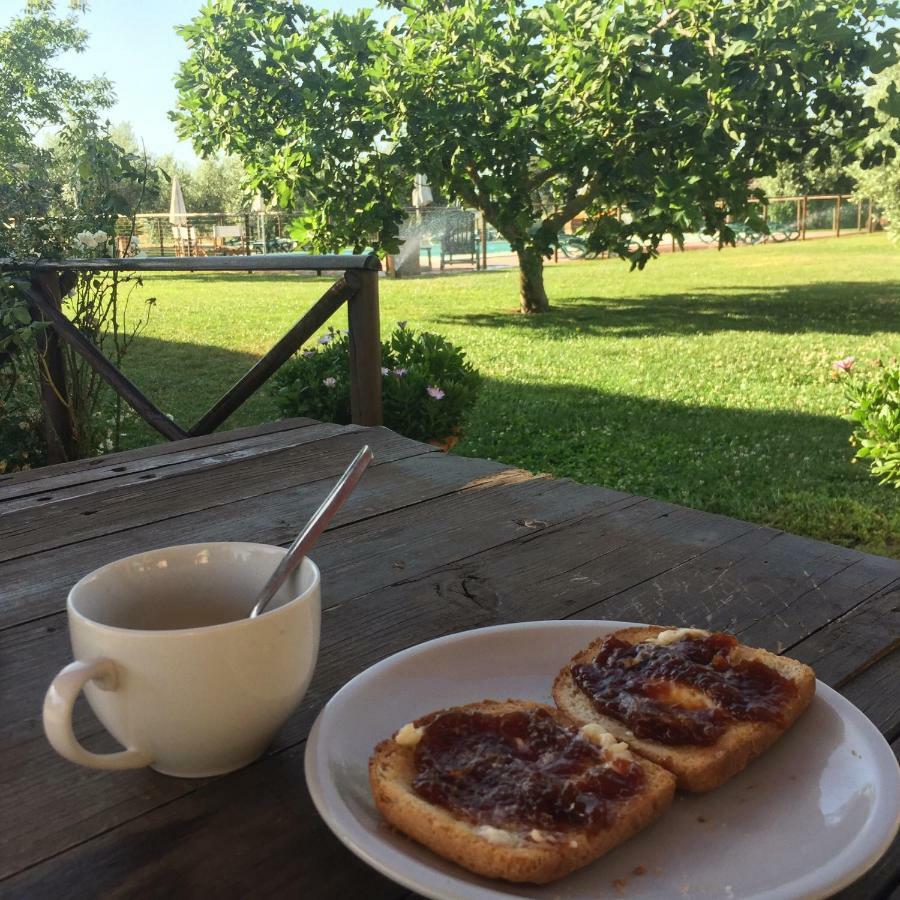 Agriturismo Il Puntoncino Марсилиана Екстериор снимка
